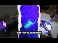 5 Best UV Flashlights 2026 Find Hidden Stains More