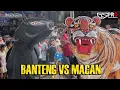Download Lagu BANTENG VS MACAN X-TREME BUDOYO LIVE GRINGSING