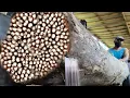 Download Lagu Het hardste hout ter wereld: lintzaag in houtzagerij kan het niet zagen