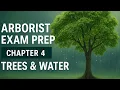 Arborist Exam Prep Chapter 4 - Trees Water