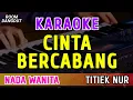 Download Lagu CINTA BERCABANG - KARAOKE NADA WANITA [ TITIEK NUR ] MP3