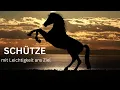 Download Lagu SCHÜTZE ♐️ 15.09.-21.09.2025• mit Leichtigkeit ans Ziel 