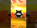 Stick Season (MDB Dance Cover Mix) Melbourne bounce🔥