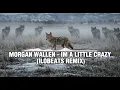 Morgan Wallen – I’m A Little Crazy (ILoBeats Remix) | Country Trap Bass | Night Drive Vibes 2026