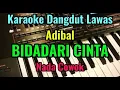 Download Lagu BIDADARI CINTA [ Adibal Sahrul ] Karaoke Dangdut Lawas || Nada Cowok