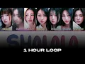 Download Lagu [1 HOUR] SAY MY NAME ShaLaLa Lyrics (Color Coded Lyrics)