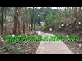 Lagu LAGU JOWO PARIKAN LUUCUU