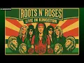 Download Lagu What if Guns N' Roses Were a Reggae Band? 🌴 Roots N' Roses Live in Kingston [AI Reimagined–Not Real]