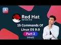 Top 15 Basic Linux Commands for Beginners Recommended Part 3 A2it Online