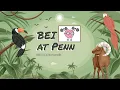 BEI Animal theme