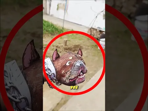 ¡Si ves a este bulldog huye inmediatamente!😱