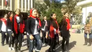 علمونا فى مدرستنا بمدرسة السلام تصوير  محمد بيومى دندنها