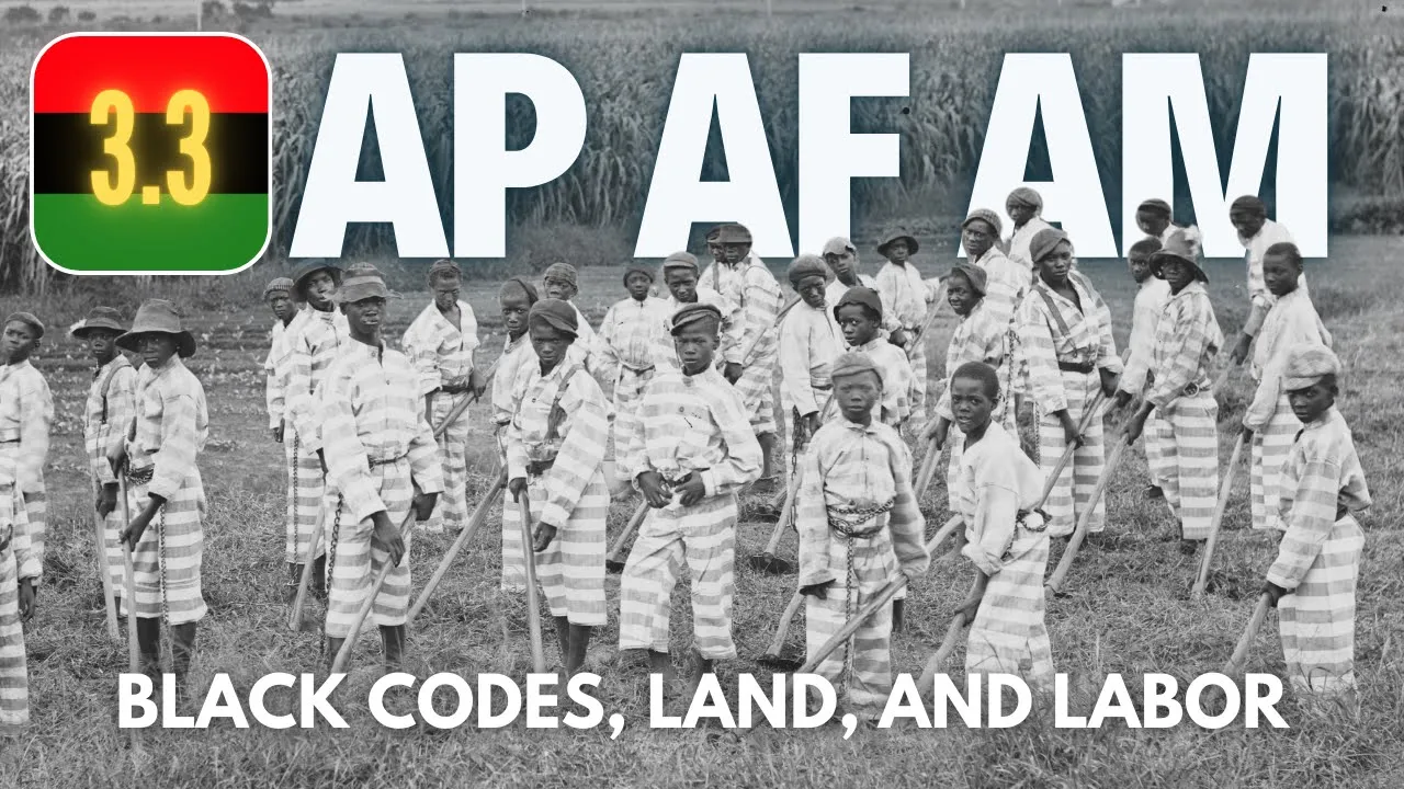 AP AFAM #38 - 3.3: Black Codes, Land, and Labor