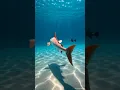 Download Lagu Is it oar fish..?🤔 | the depth swim master | 🐟 🐠 #oarfish #fish #fishvideo #swim #fishshorts #shorts