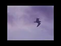Alex G ft  Emily Yacina - Treehouse
