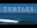 Turtles Point Surfing West Java