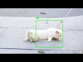 Object tracking with dlib Demo
