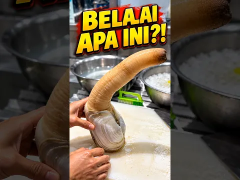 Kerang Ini Punya Belalai yang Mengejutkan!
