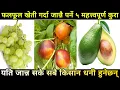 Download Lagu 5 important things that farmers should know while growing fruits.