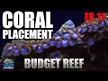 CORAL Placement - Finding The Best Spot For Coral To Thrive