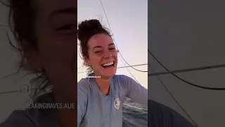 Visitors at sunset in the middle of the ocean #sailing