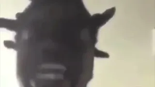 blurred lines robin thicke feat t i u0026 pharrell low quality