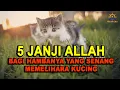 Download Lagu Inilah Keajaiban dan 5 Janji Allah !! Bagi Yang Suka Memelihara Kucing