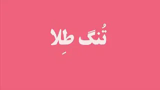 آهنگ شیرازی تنگ طلا شاعر بیژن سمندر  آهنگ شیرازی تنگ طلا شاعر بیژن سمندر