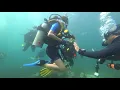 Download Lagu 2018 0823 1522 Tioman Soyak diving