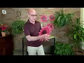 Ultimate Innovations Outdoor Metal Flower Wall Decor on QVC