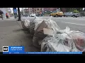 New NYC rules for putting out trash for pick-up begin Saturday