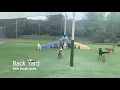 Pet Paradise Gainesville VIRTUAL TOUR