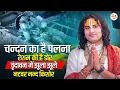 Lagu चन्दन का है पलना रेशम की है डोर वृंदावन में झूला झूले नटवर नन्द किशोर | श्री अनिरुद्धाचार्य जी भजन