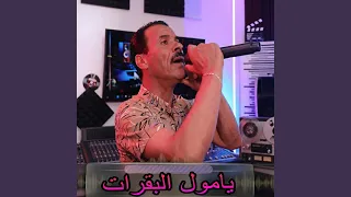 يامول البقرات دندنها