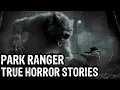 Download Lagu 10 TRUE Terrifying Park Ranger Horror Stories (Dogman,Sasquatch,Werewolf,Bigfoot,Forest Ranger)