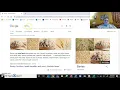 How did the Nile shape ancient Egypt Documents D and E