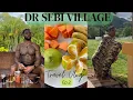 DR SEBI VILLAGE EP 2