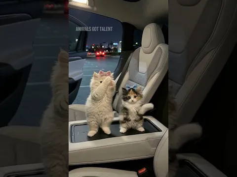 Cute Kittens Do the Viral Scuba Dance Trend  #catdance #cat #aicat