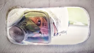 Cutting 10 Huge Holes in a Perfectly Good Hull… Are we crazy? | Step 446