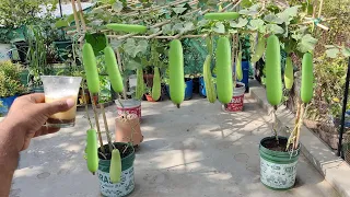 1000 