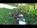 Download Lagu Kebahagian sederhana saat mancing bersama berkumpul seperti ini 