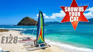 Show us your cat! Episode 128 USA, UAE and Sweden