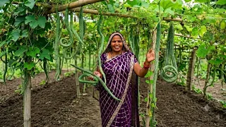 सर्फ जैसा दिखने वाला चिचिंडा की सब्जी एक बार बनाएंगे तो बार-बार खाएंगे / Chichinda ki sabji