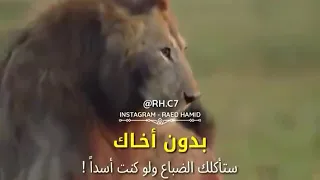 فزعه اسد لخويه ولا اروع  دندنها