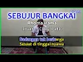 Download Lagu SEBUJUR BANGKAI - Rhoma irama karaoke - cover Pa800