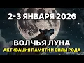 Lagu 2-3 января 2026 не просто полнолуние: Волчья Луна активирует родовую память