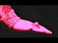 Wavves - "Afraid of Heights" (Official Music Video)