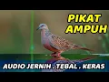 SUARA PIKAT UNTUK BERBURU TEKUKUR/DERKUKU. Tanpa guk kol buntet (GAGAP), Terkukur KUK 2 GACOR 1 JAM