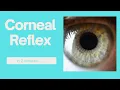 The corneal reflex in 2 minutes