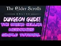 Dungeon Guide - The Dread Cellar Mechanics Tutorial in ESO